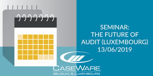 Seminar: The Future of Audit 13/06/2019