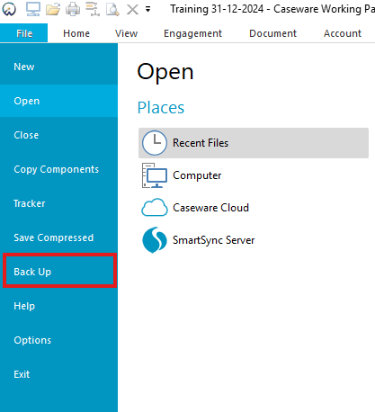 Create a Backup of a Caseware Dossier